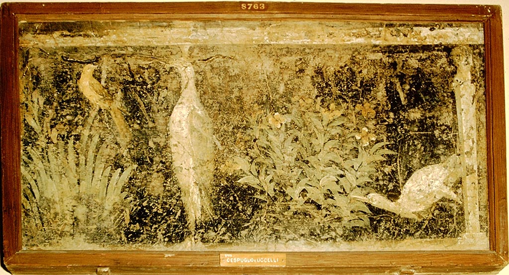 Ins. Or. II, 1a, Herculaneum. Three birds and a herm. Photo by Stanley A. Jashemski. 1957. Inventory number: 8763,
Source: The Wilhelmina and Stanley A. Jashemski archive in the University of Maryland Library, Special Collections (See collection page) and made available under the Creative Commons Attribution-Non Commercial License v.4. See Licence and use details.
J57f0502